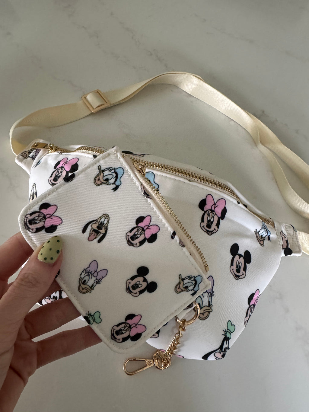 Minnie & Friends Character Coin purse for Bum Bag Theme Park Bag