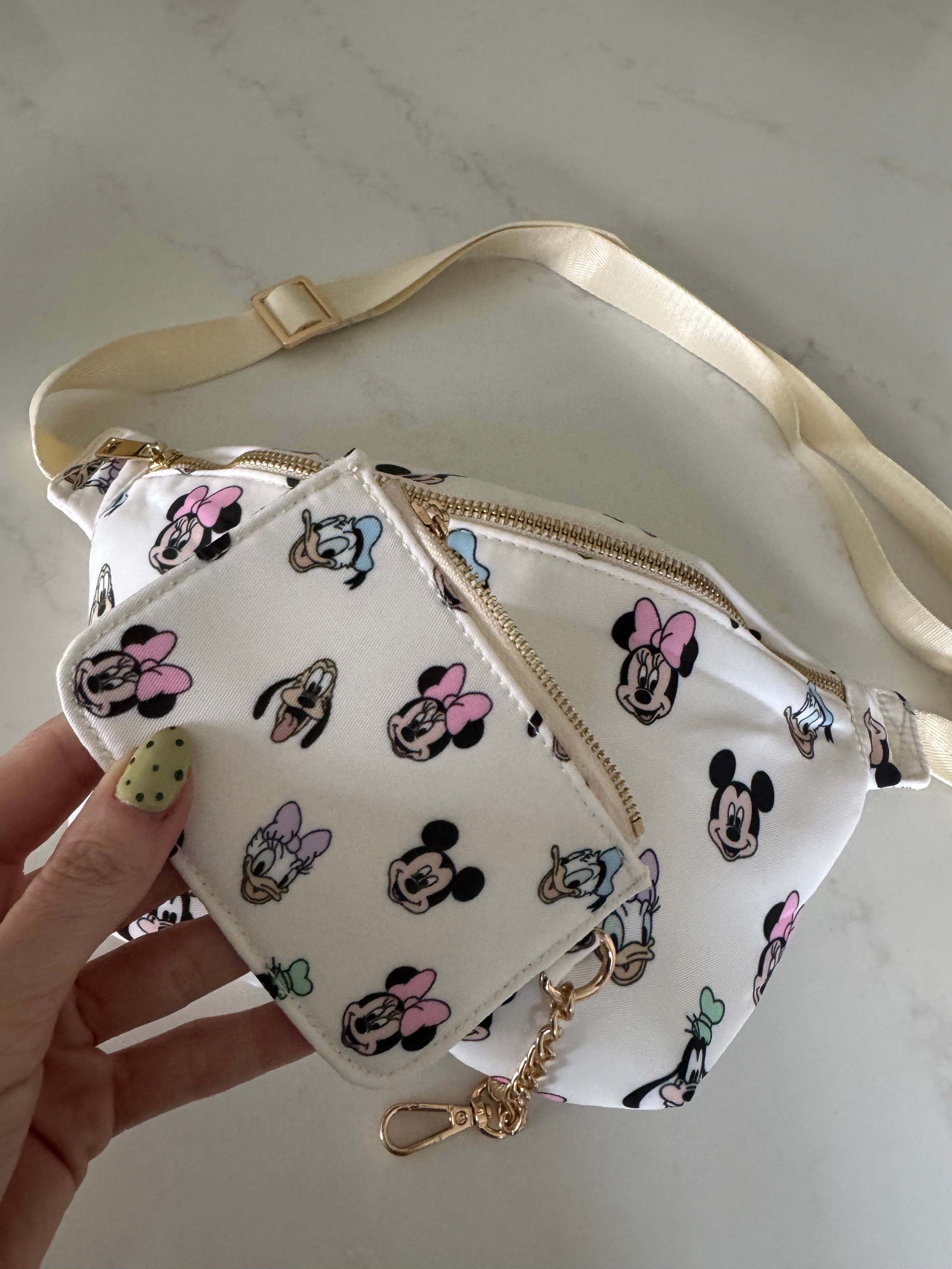 Minnie & Friends Character Coin purse for Bum Bag Theme Park Bag