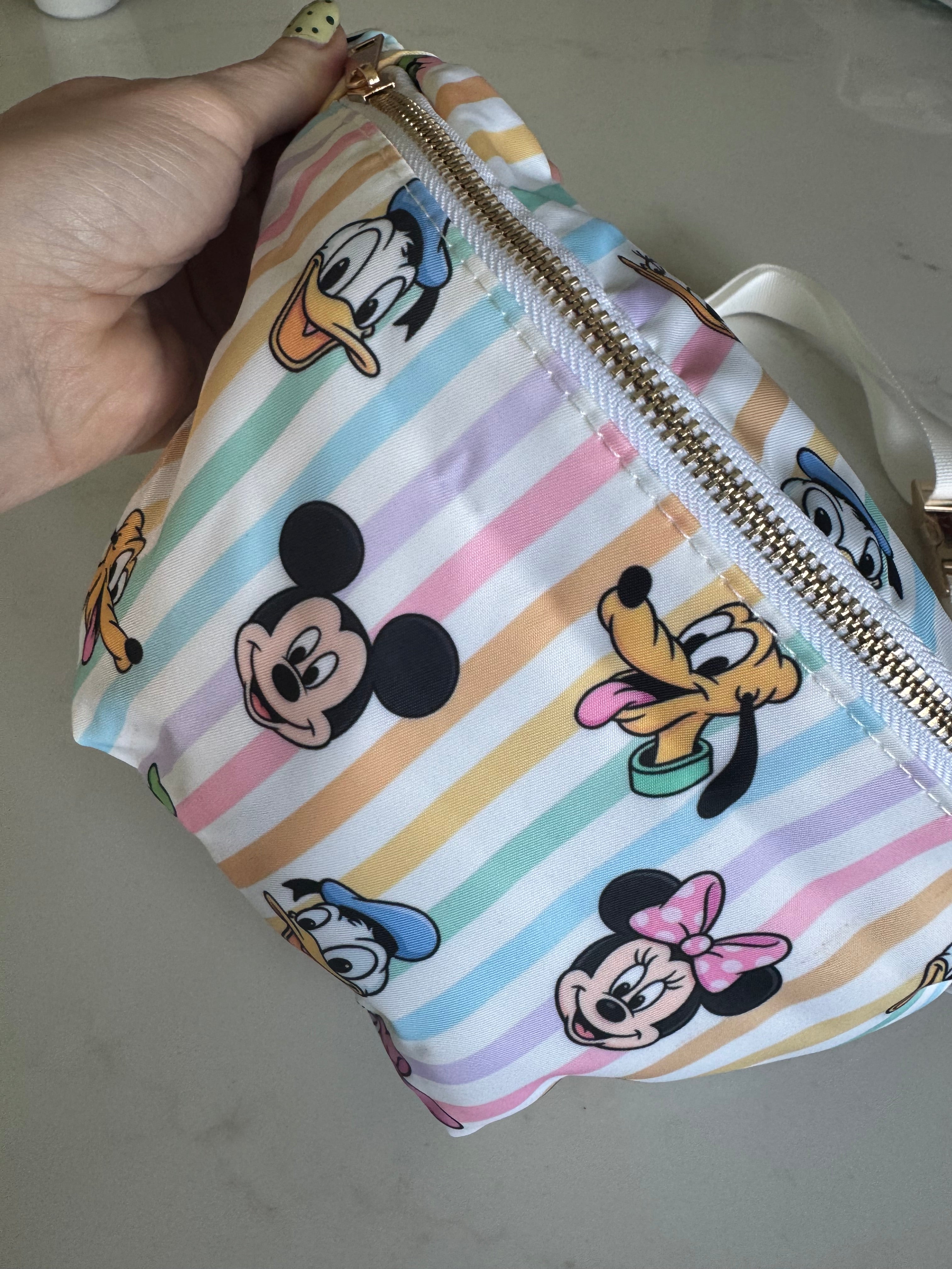 Striped Minnie Mouse & friends Character Bum Bag Theme Park Bag