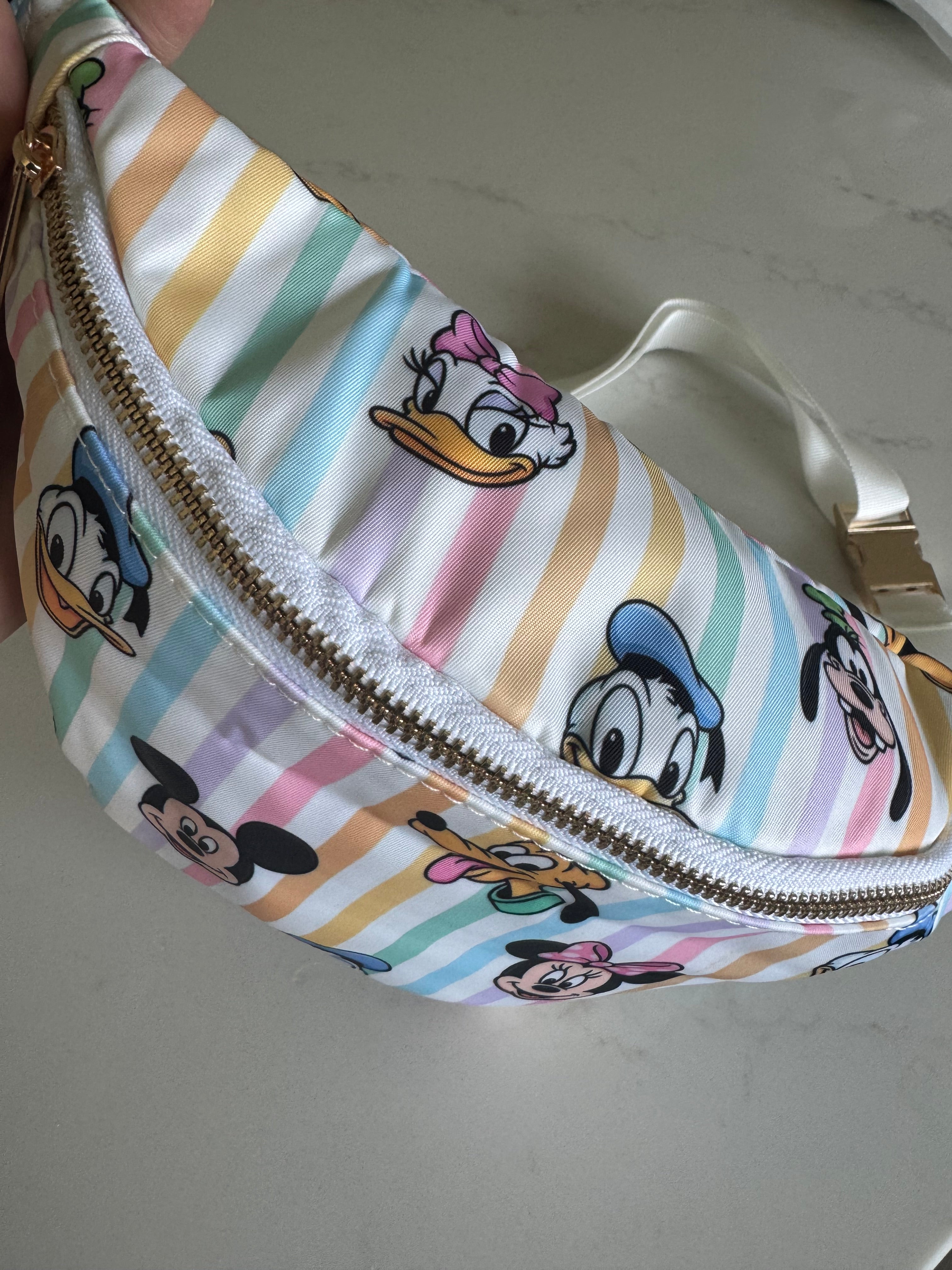 Striped Minnie Mouse & friends Character Bum Bag Theme Park Bag