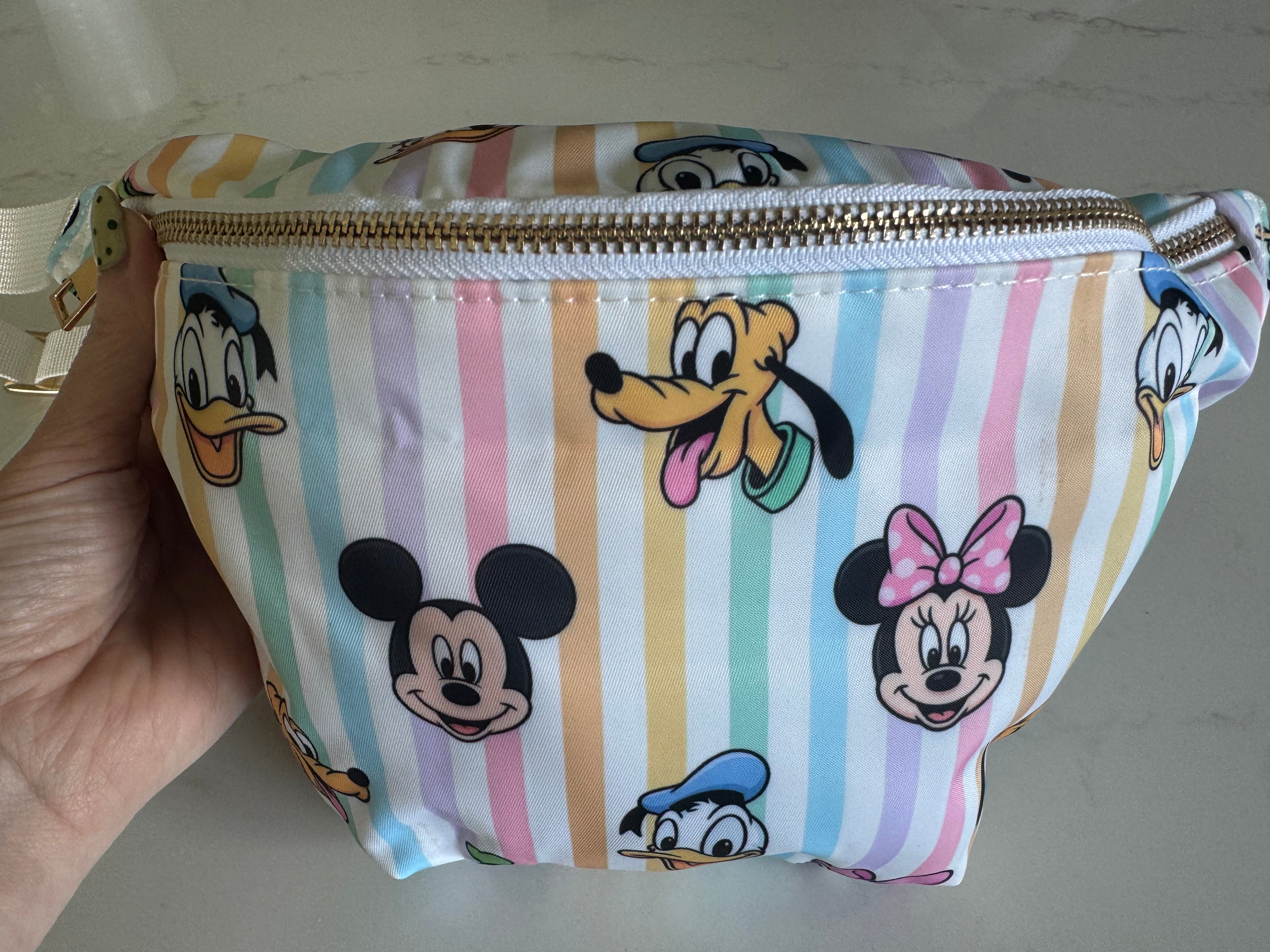Striped Minnie Mouse & friends Character Bum Bag Theme Park Bag