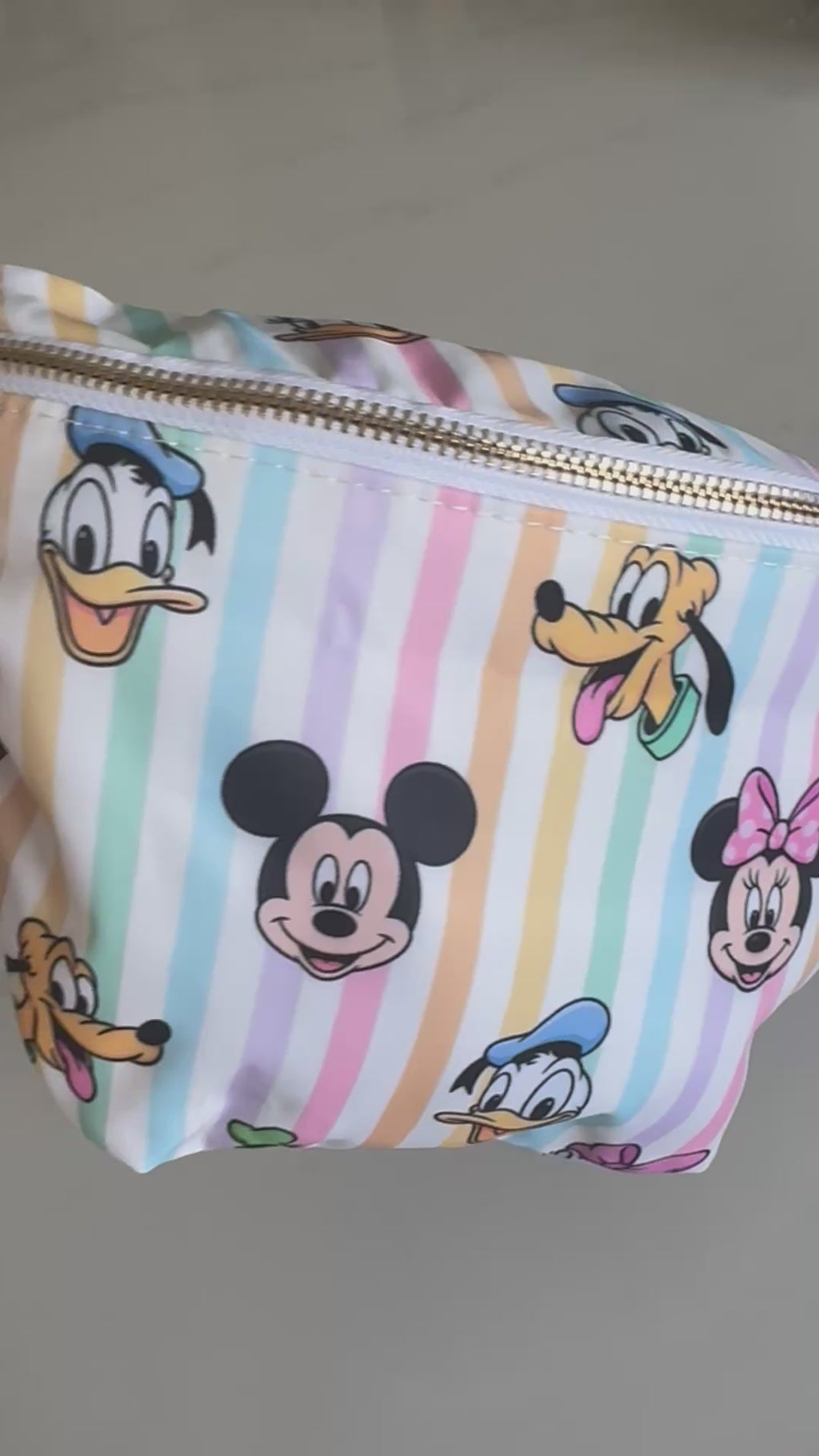 Striped Minnie Mouse & friends Character Bum Bag Theme Park Bag