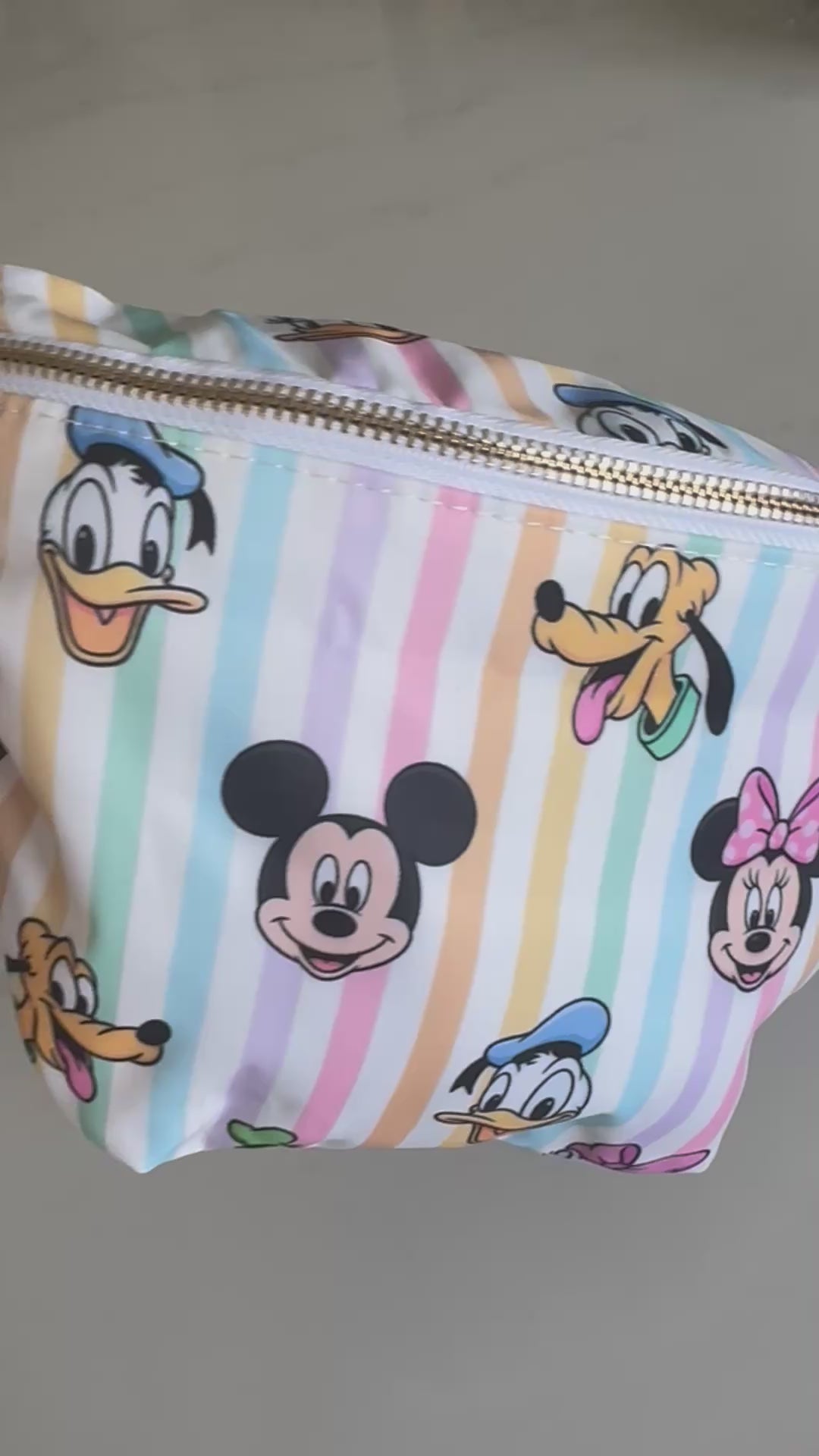 Striped Minnie Mouse & friends Character Bum Bag Theme Park Bag